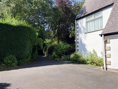 Picture 23